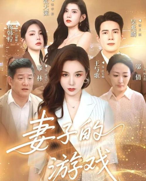 妻子的游戏,妻子的虚拟世界冒险之旅