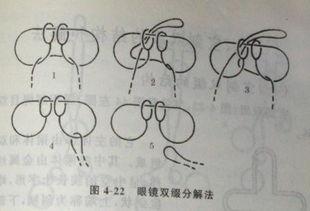 连环扣,揭秘历史传承的智慧纽带